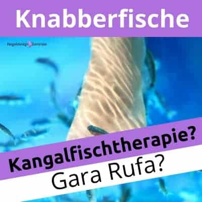Gara Rufa Knabberfische